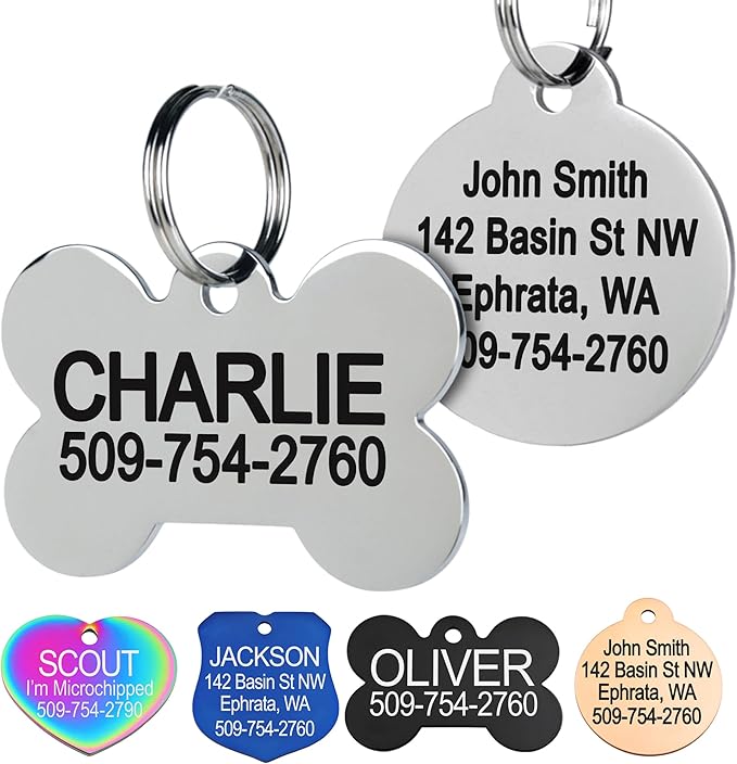 Personalized Stainless Steel Pet ID Tag – Bone Shape
