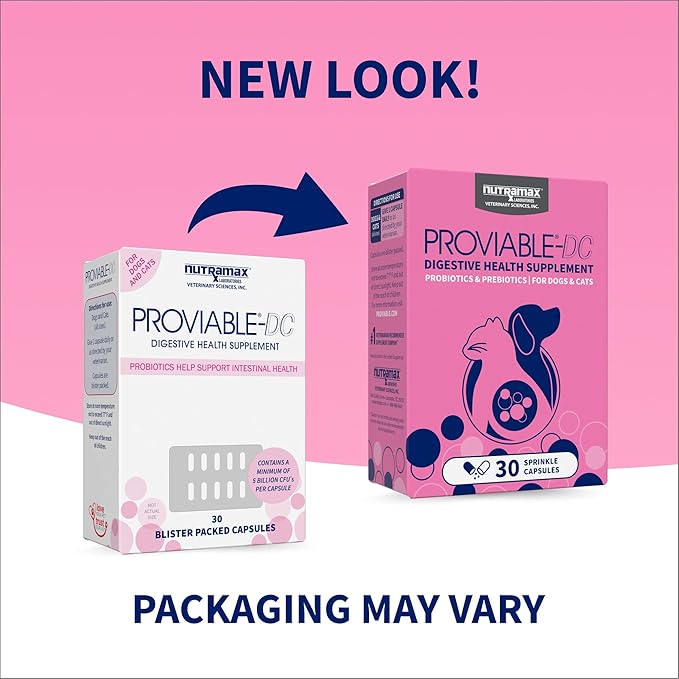 Nutramax Proviable Digestive Health Probiotics for Pets