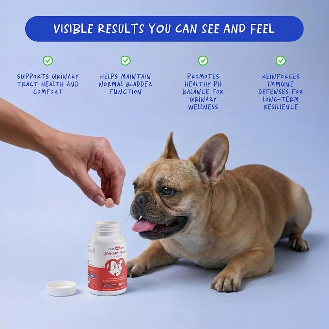 Cranberry Chewables for Dogs - UTI & Bladder Support