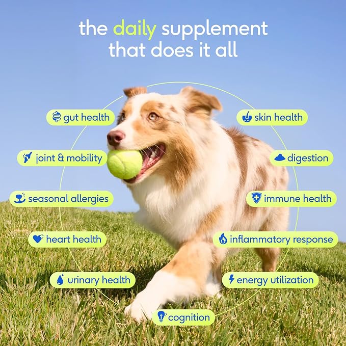 Native Pet 11-in-1 Multivitamin Powder for Dogs