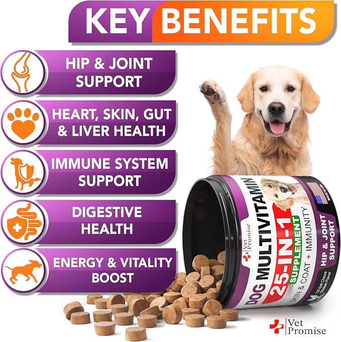 Dog Multivitamin Chews with Glucosamine - 120 Count