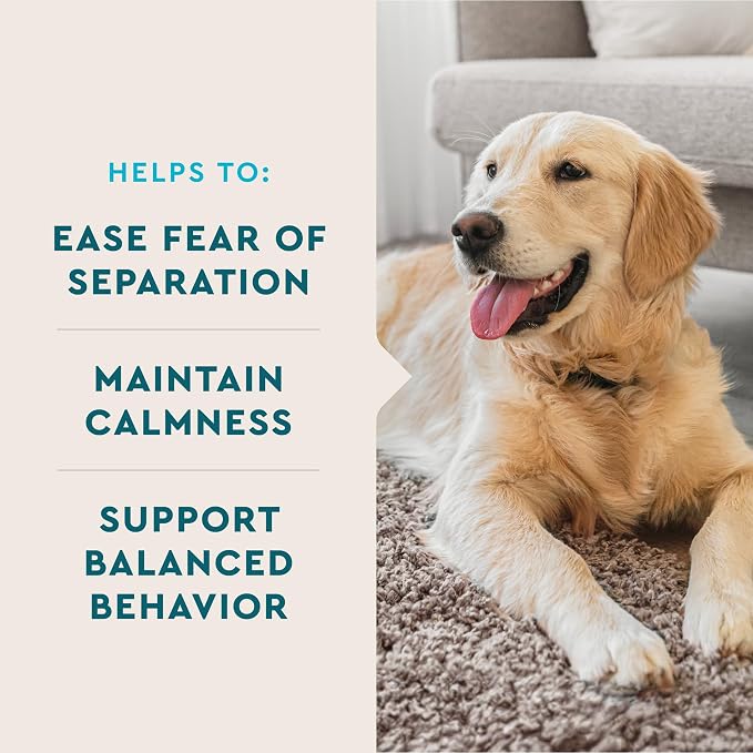 VetIQ Calming Chews for Dog Anxiety Relief