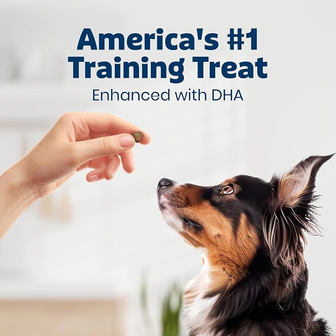 Blue Buffalo Chicken Training Treats with DHA, 19oz
