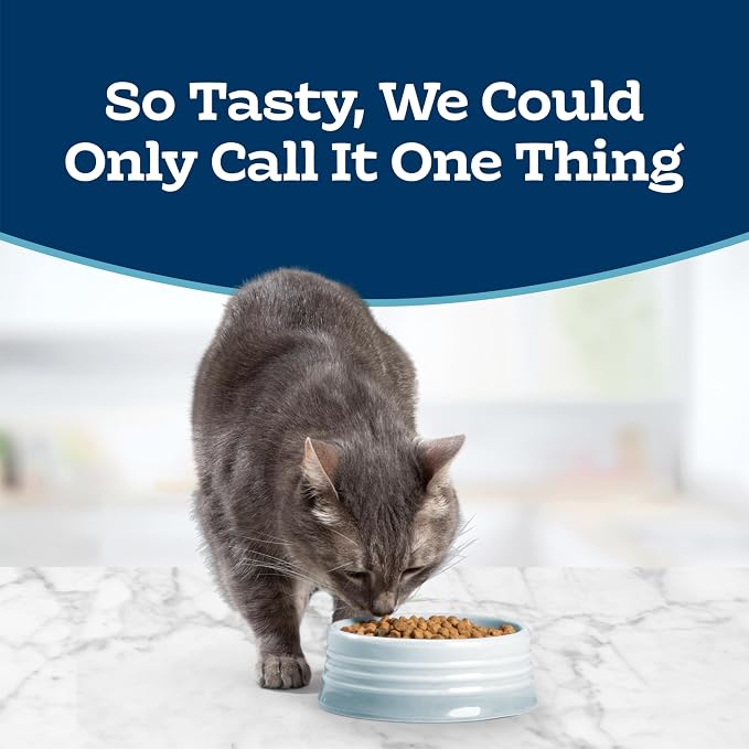 Blue Buffalo Indoor Cat Chicken Rice Dry Food 7lb