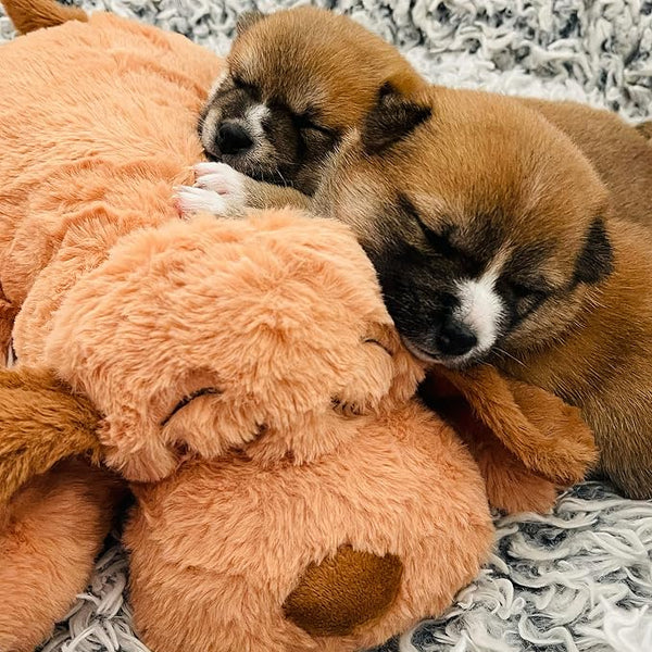 Snuggle Puppy Heartbeat Toy for Dogs